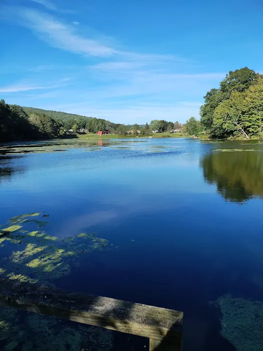Crazy Acres Campground at Beaver Spring Lake Picture 6