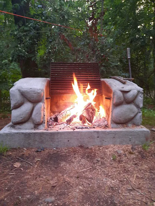 Bear Spring Mountain Campground Picture 6