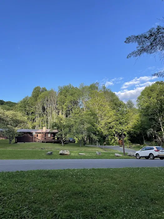 Bear Spring Mountain Campground Picture 4