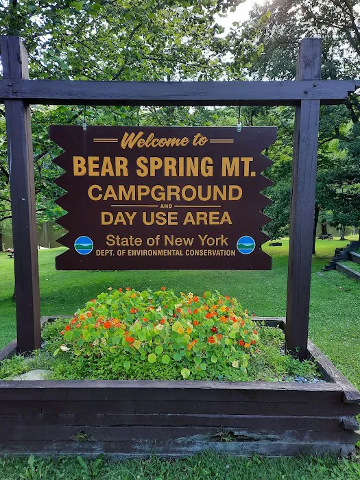 Bear Spring Mountain Campground Picture 9