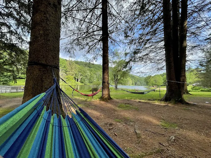Bear Spring Mountain Campground Picture 8