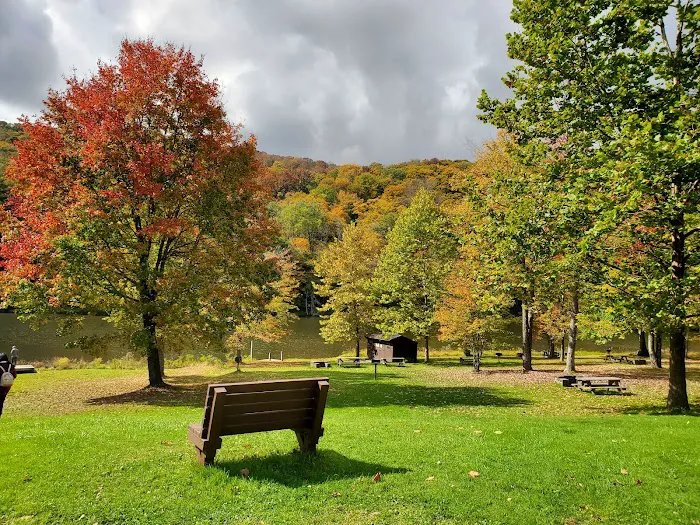 Bear Spring Mountain Campground Picture 10