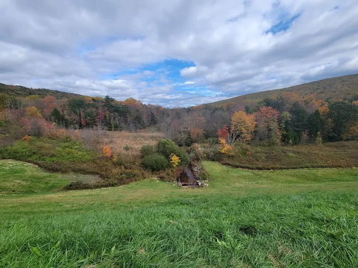 Jim Thorpe Camp Resort Picture 10