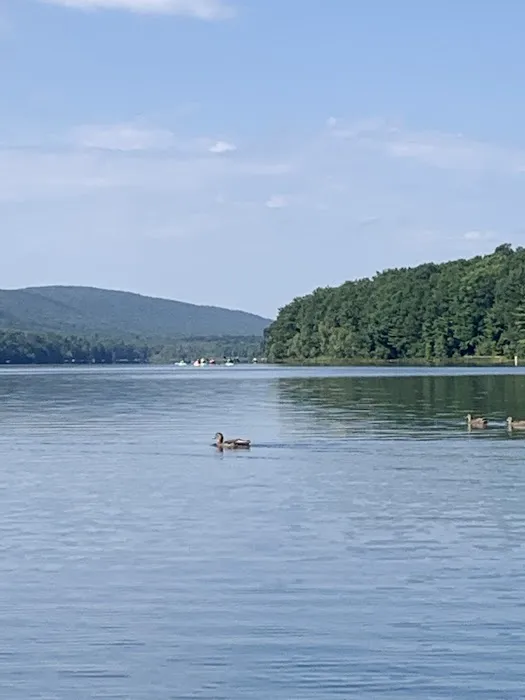 Jim Thorpe Camp Resort Picture 6