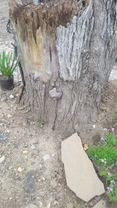 R&R Mobile Home Park Picture 9