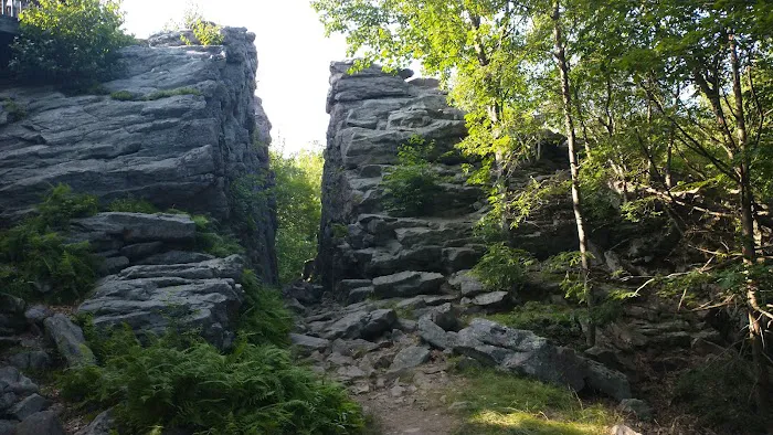 Hickory Run State Park Camping Area Picture 2