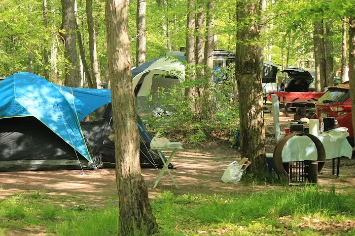 Hickory Run State Park Camping Area Picture 9