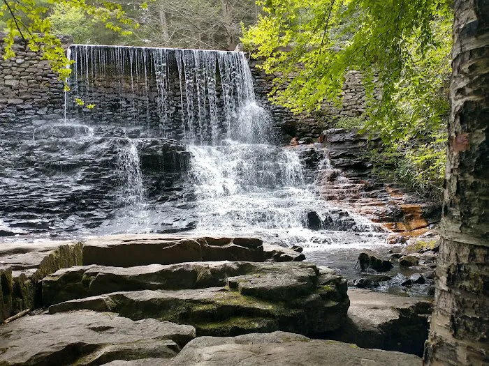 Hickory Run State Park Camping Area Picture 3