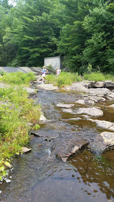 Hickory Run State Park Camping Area Picture 10