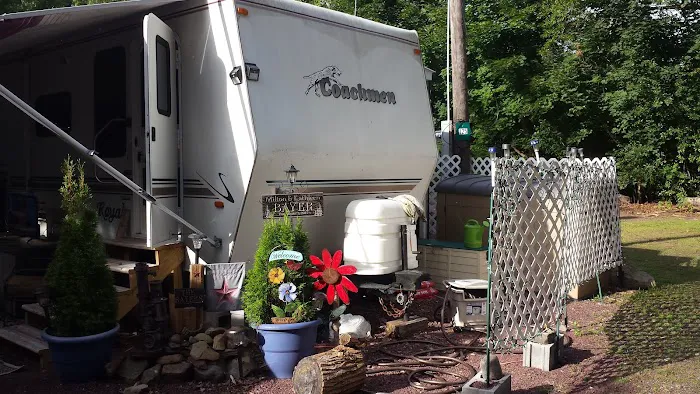 Lehigh Gorge Campground Picture 3