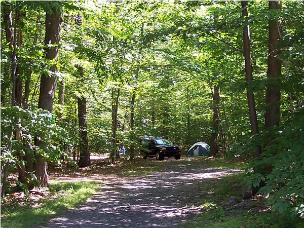 Lehigh Gorge Campground Picture 8