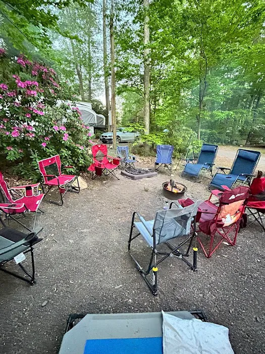 Lehigh Gorge Campground Picture 10