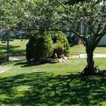 Foxwood Village
