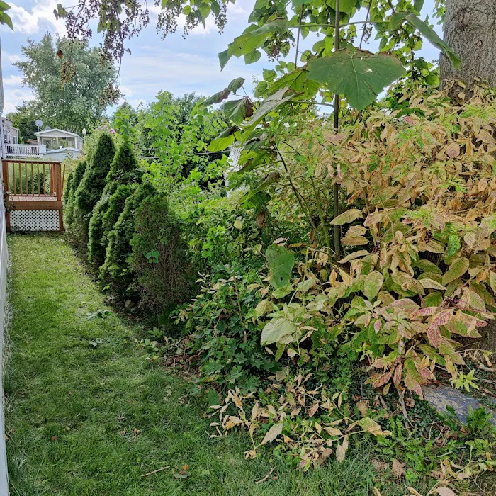 Lakewood Park LLC Picture 4
