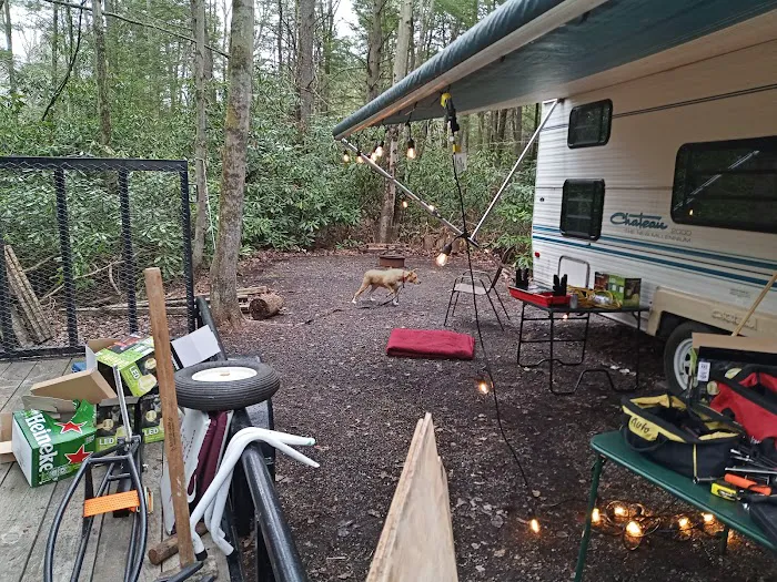 Laurel Lake Campsites Picture 1