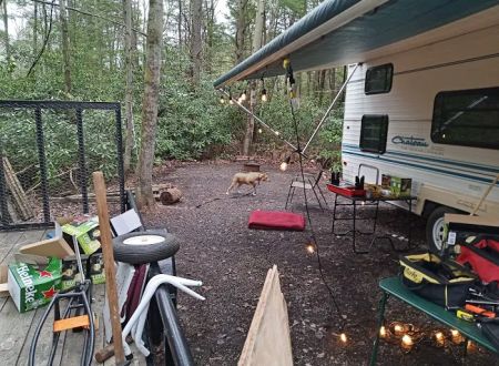 Laurel Lake Campsites