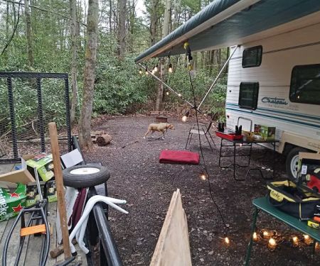 Laurel Lake Campsites