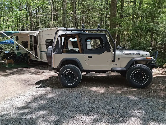Laurel Lake Campsites Picture 2