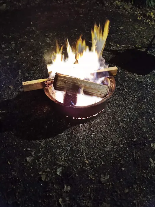 Laurel Lake Campsites Picture 4