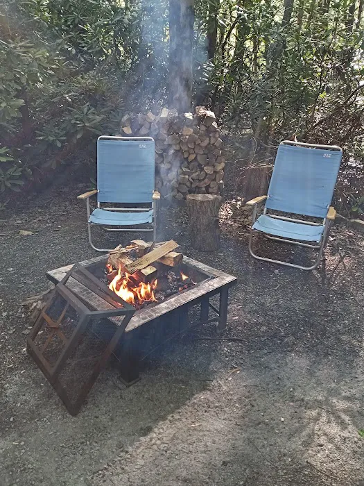 Laurel Lake Campsites Picture 8