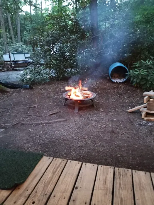 Laurel Lake Campsites Picture 7