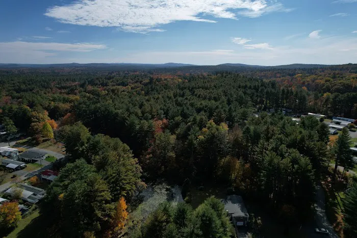 Pine Valley Plantation Picture 4