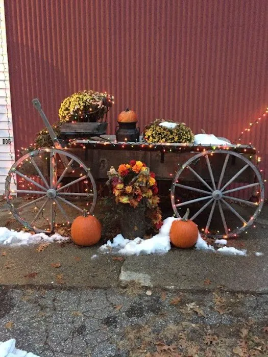 Wagon Wheel Mobile Home Park Picture 5