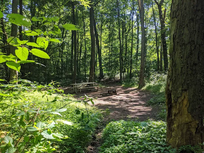 French Creek SP PA Loop A Picture 3