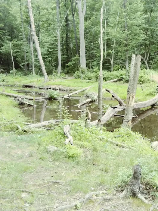 French Creek SP PA Loop A Picture 7