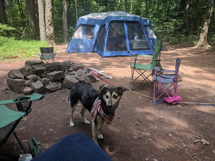 French Creek SP PA Loop C Picture 2