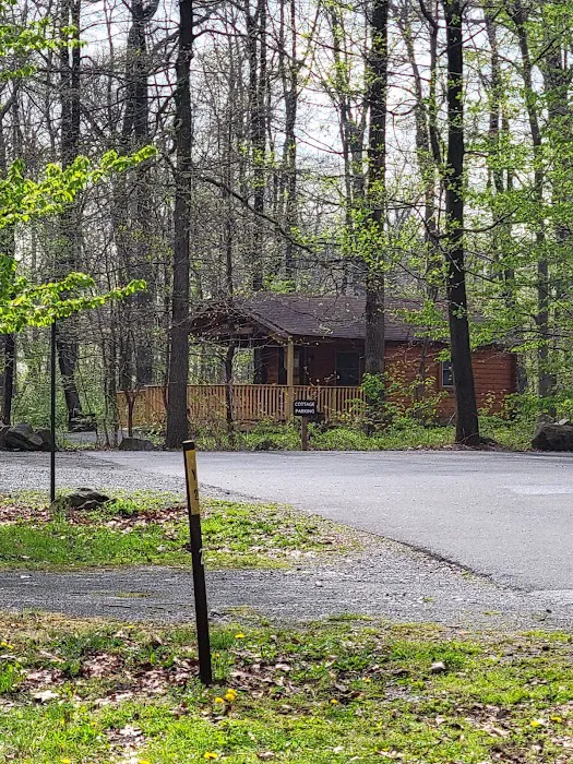 French Creek State Park Campground Picture 8