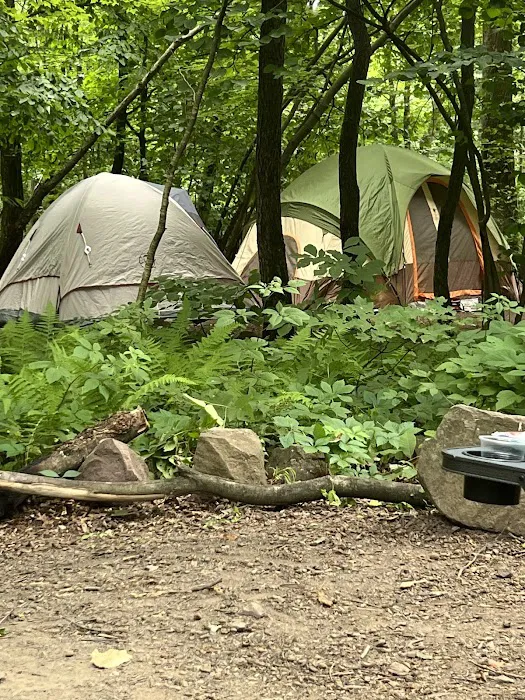 French Creek State Park Campground Picture 7