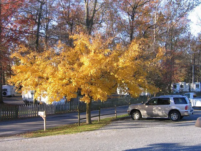 Red Run Resort & Campground Picture 4