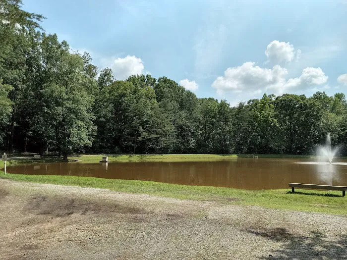 Woodlands Camping Resort Picture 3