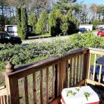 Pyramid Pines Mobile Home Park