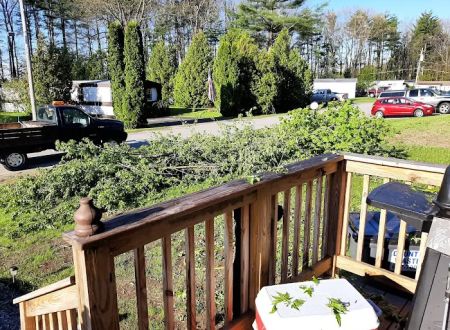Pyramid Pines Mobile Home Park