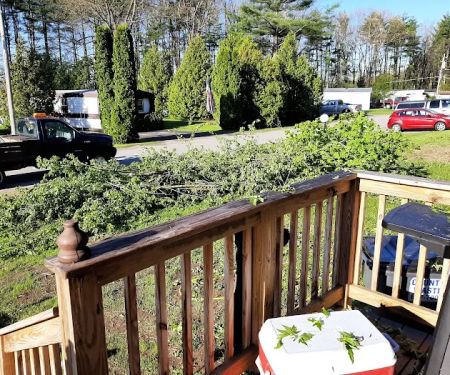 Pyramid Pines Mobile Home Park