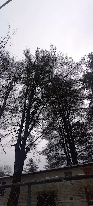 White Pines MHC Picture 4