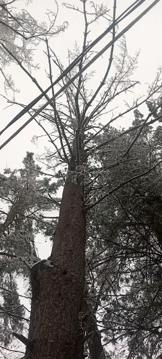White Pines MHC Picture 7