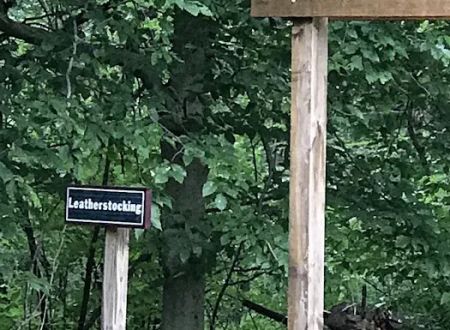 Leatherstocking Campsite