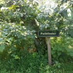 Pathfinder Campsite