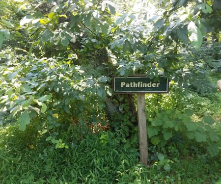 Pathfinder Campsite