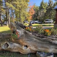 Pine Park RV Campground and Pavilion ico