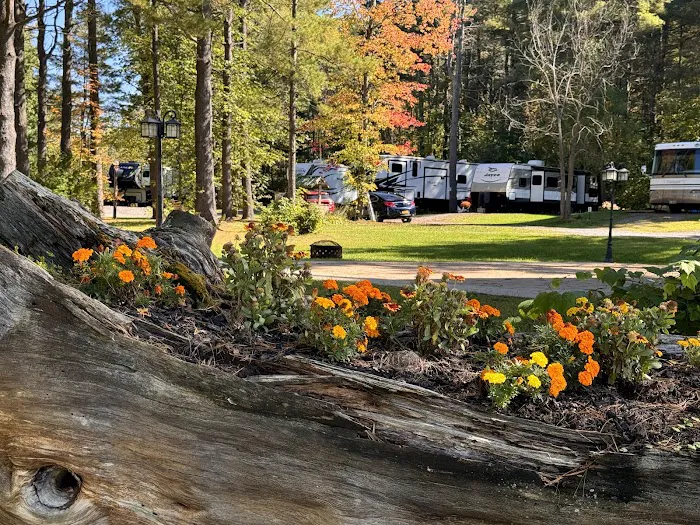 Pine Park RV Campground and Pavilion Picture 2