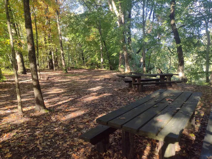 Fred J Doberstein Overlook Campground Picture 4