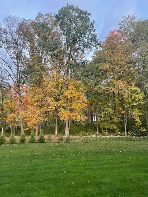 Sill's Family Campgrounds Picture 7