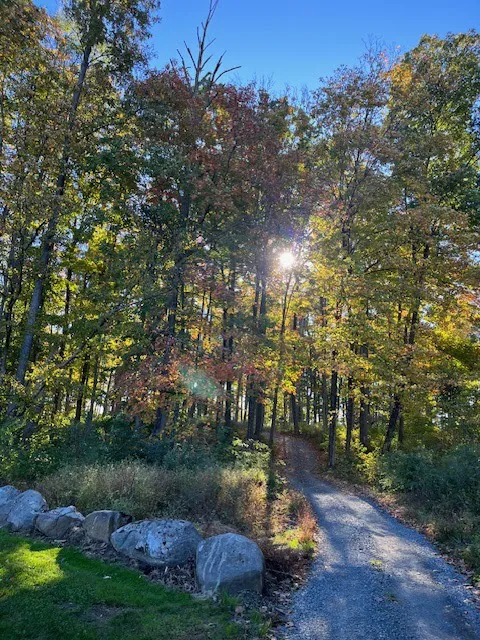 Sill's Family Campgrounds Picture 8