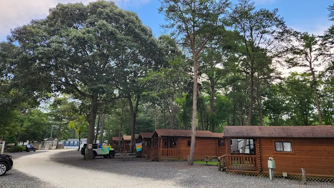 Ponderosa Campground Picture 7