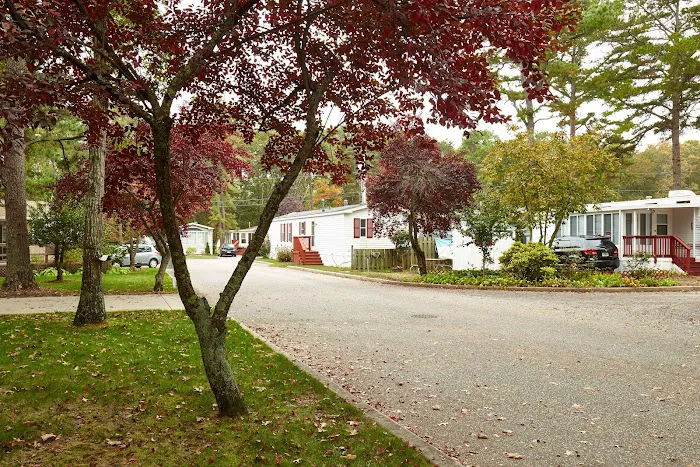 Shady Pines Picture 7