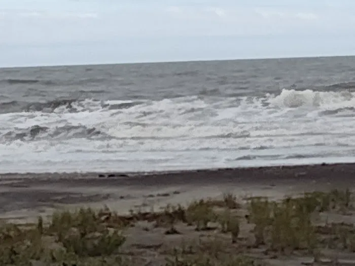 Ocean Beach Trailer Resort Picture 4